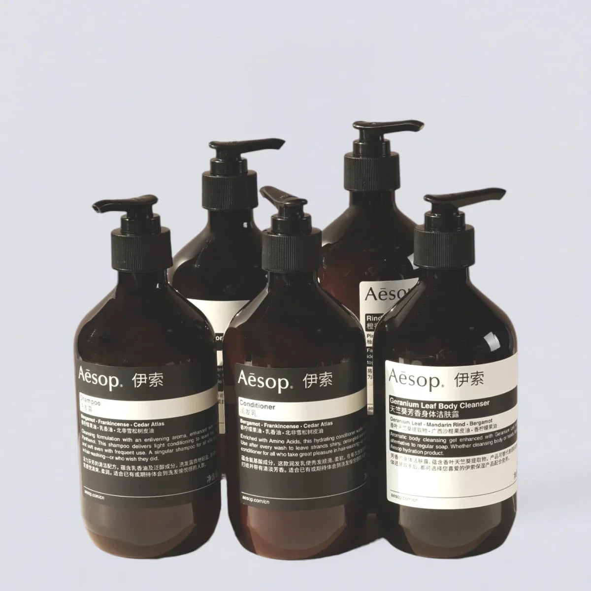 AESOP Shampoo Conditioner Shower Gel Body Lotion (500ml) | Luxury Hotel Essentials